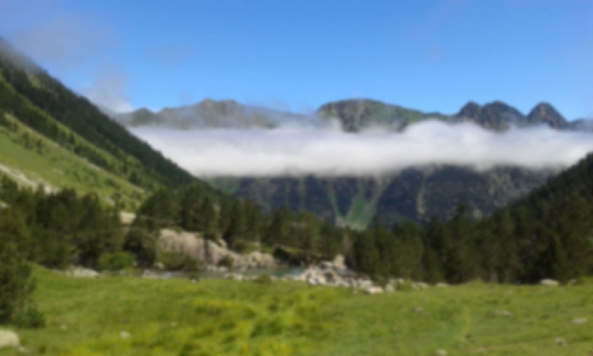 Bivouac à la ferme — photo 4